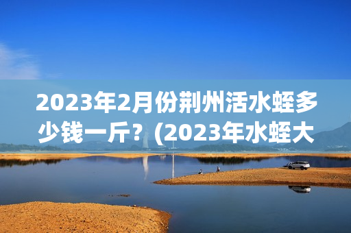 2023年2月份荆州活水蛭多少钱一斤？(2023年水蛭大概多少钱一斤呀)