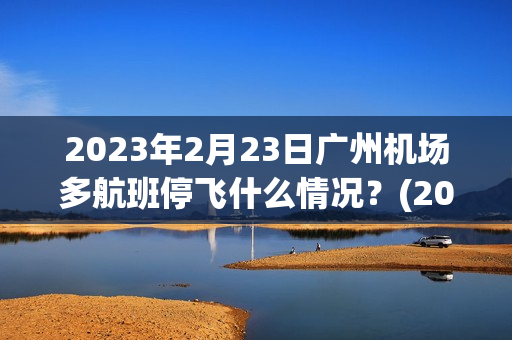 2023年2月23日广州机场多航班停飞什么情况？(2023年2月份广州疫情怎么样,各单位上班是否正常)