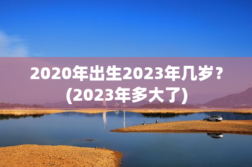 2020年出生2023年几岁？(2023年多大了)